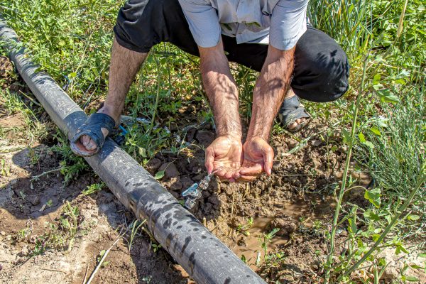 A person takes water from the pipe to irrigate the soil. The concept of irrigation of drylands.